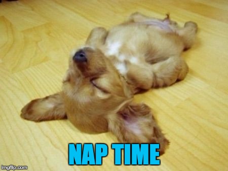 The Secret Life of&nbsp;Podiatrists.