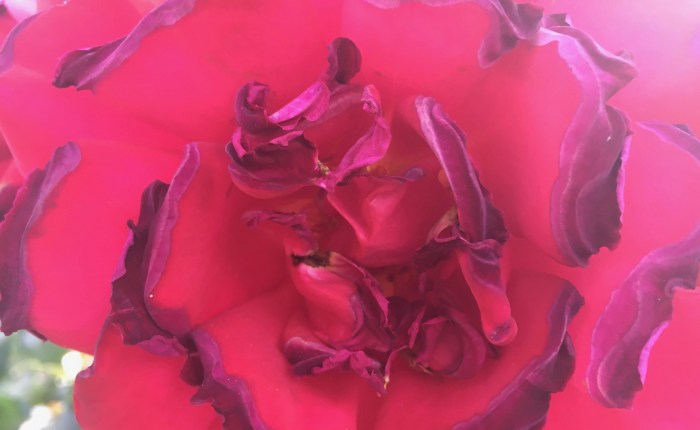 Write Your Own Song Using This&nbsp;FlowChart.