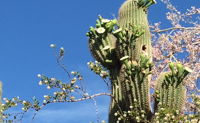 Goodreads Kindle Book&nbsp;Giveaway